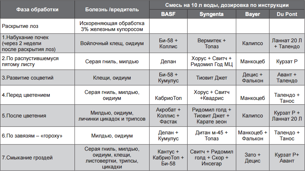 Чем обработать виноград перед цветением от вредителей, болезней?