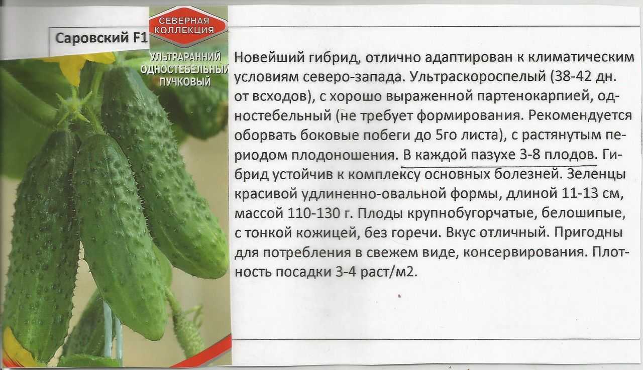 Как вырастить огурцы сорта кураж ф1 на приусадебном участке?