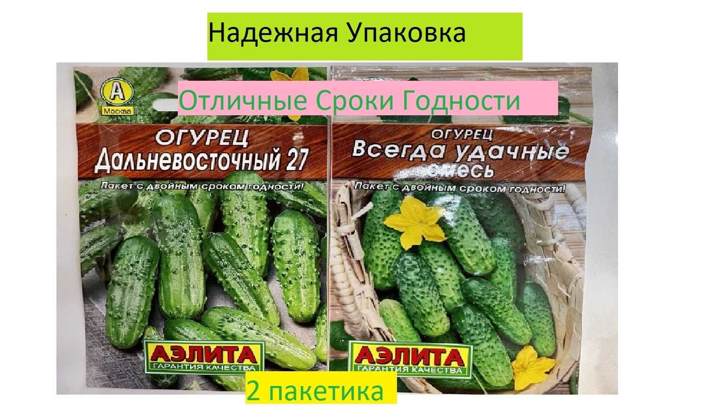 Огурец дальневосточный: характеристика и описание сорта, выращивание и отзывы с фото
