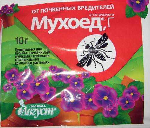 Как избавиться от мошки в комнатных цветах и растениях? топ-10 способов включая народные средства | (фото & видео) +отзывы