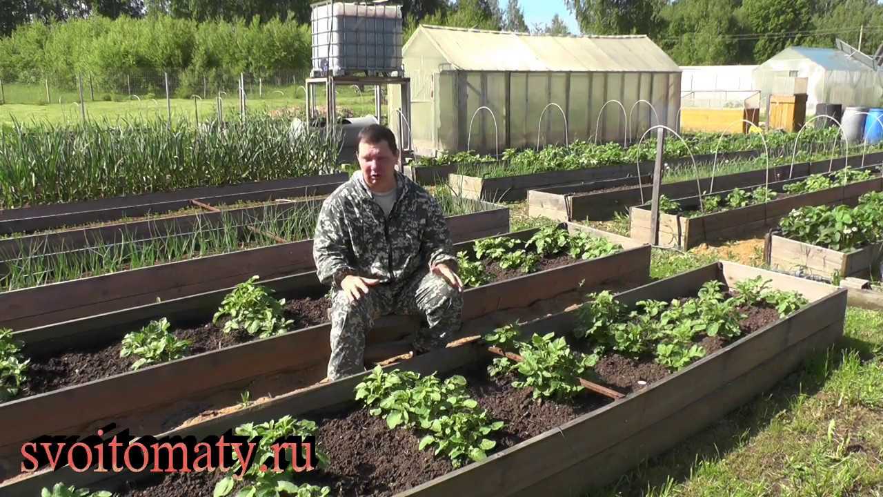 Как образовалась планета земля? дата, этапы, особенности