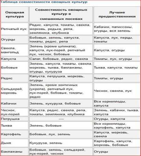 Что посадить после чеснока
