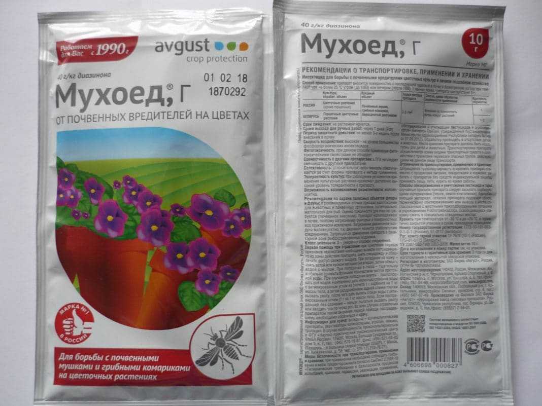 Полив лука и чеснока солью для богатого урожая