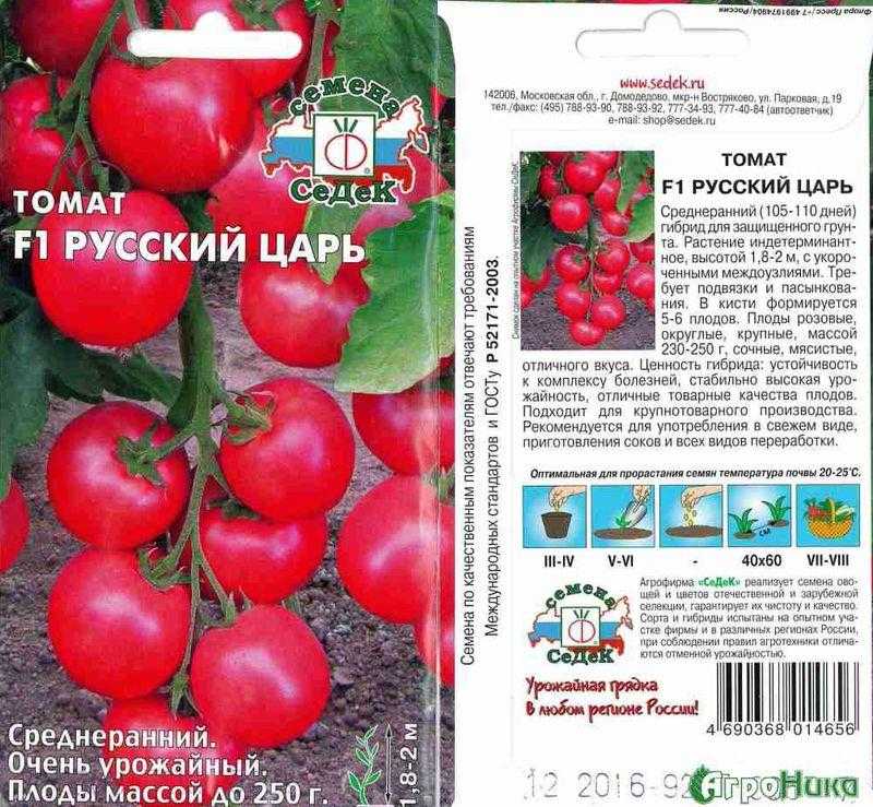 Томат царская ветка: характеристика и описание, отзывы, фото, урожайность сорта
