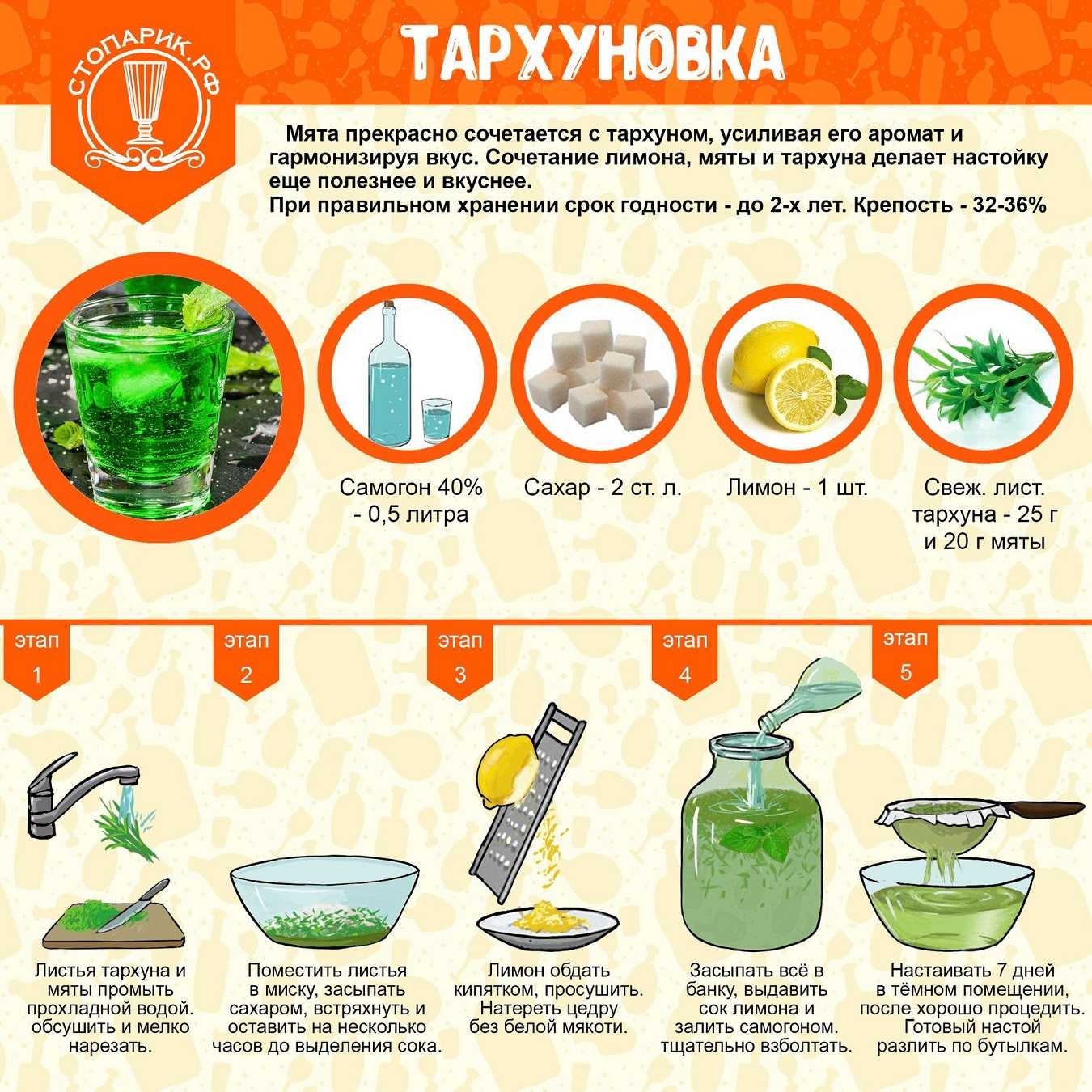 Эстрагон (тархун) – пряная трава, фото растения, описание