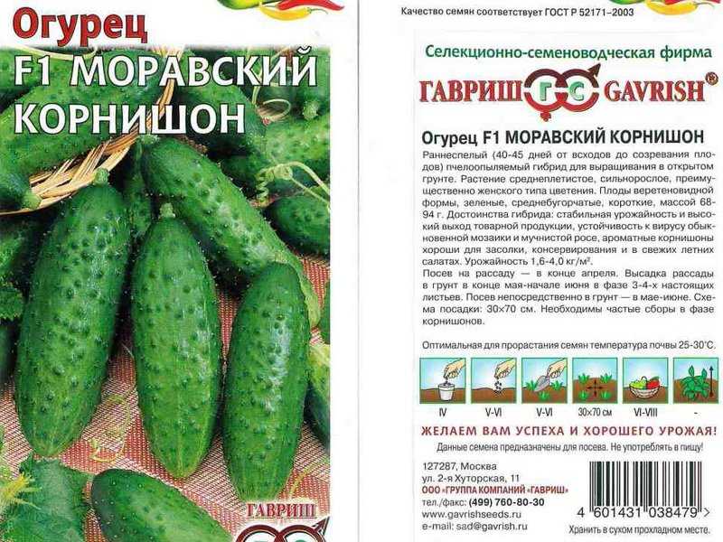 Огурец изящный: описание сорта, достоинства, технология выращивания, посадка семенами, рассадой, уход, отзывы