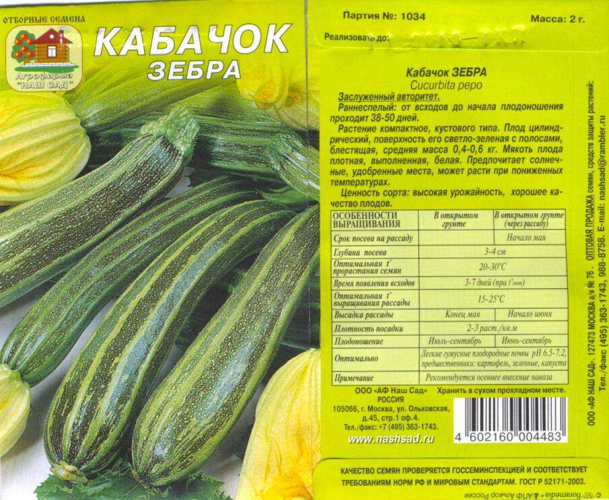 5 моих любимых сортов и гибридов кабачков-цукини. описание, фото — ботаничка