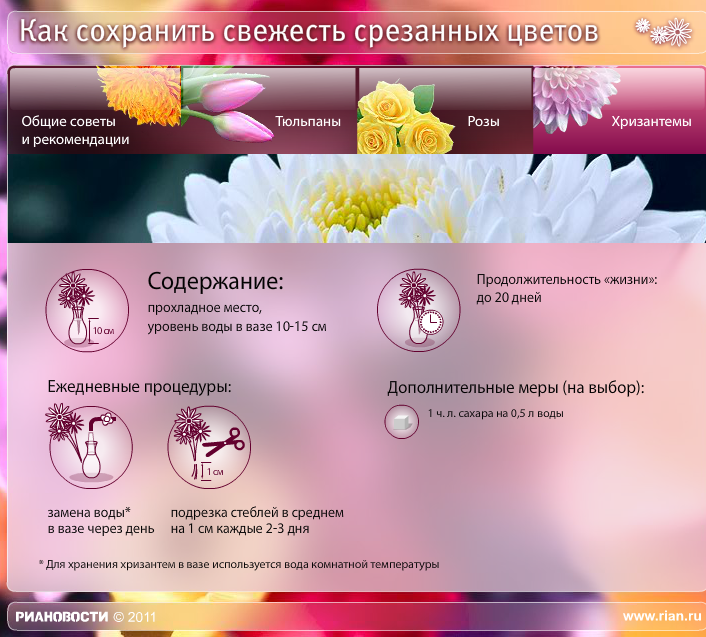 Что добавить в воду с розам, чтобы дольше стояли