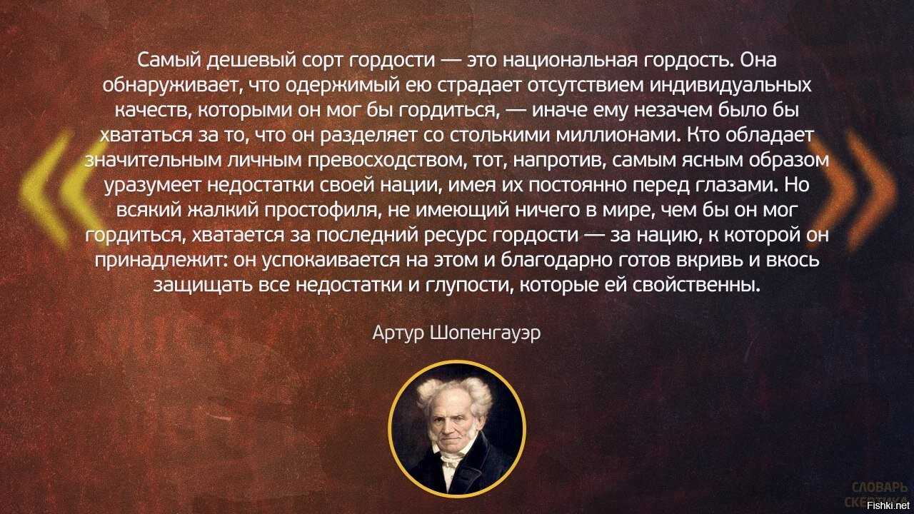 Ремонтантная малина: как получить богатый урожай ягод, личный опыт