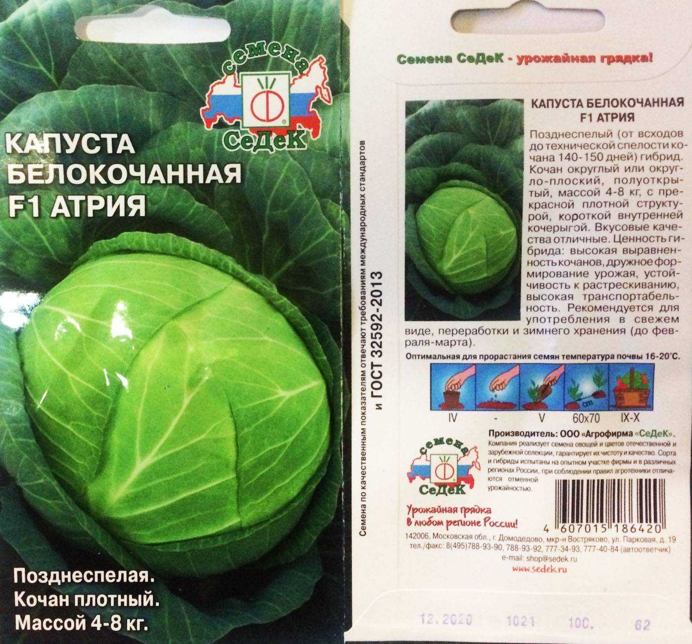 Капуста атрия: описание сорта, фото, отзывы