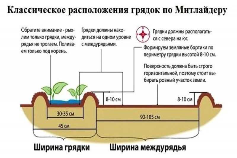 10 способов посадки картофеля