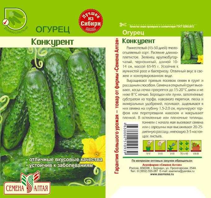 Огурец конкурент: характеристика и описание сорта, рекомендации по его выращиванию, отзывы об урожайности и сложностях ухода