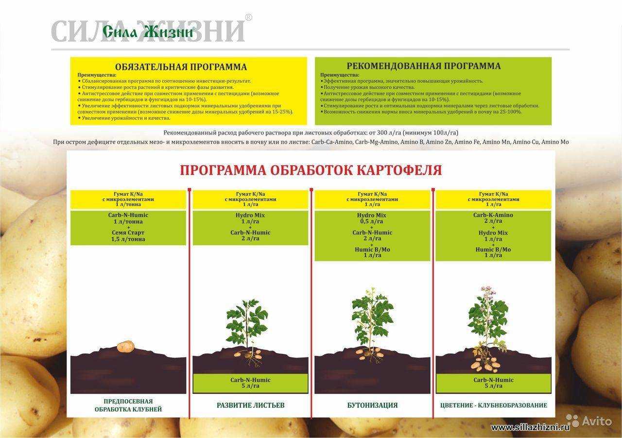 Как оздоровить и восстановить почву