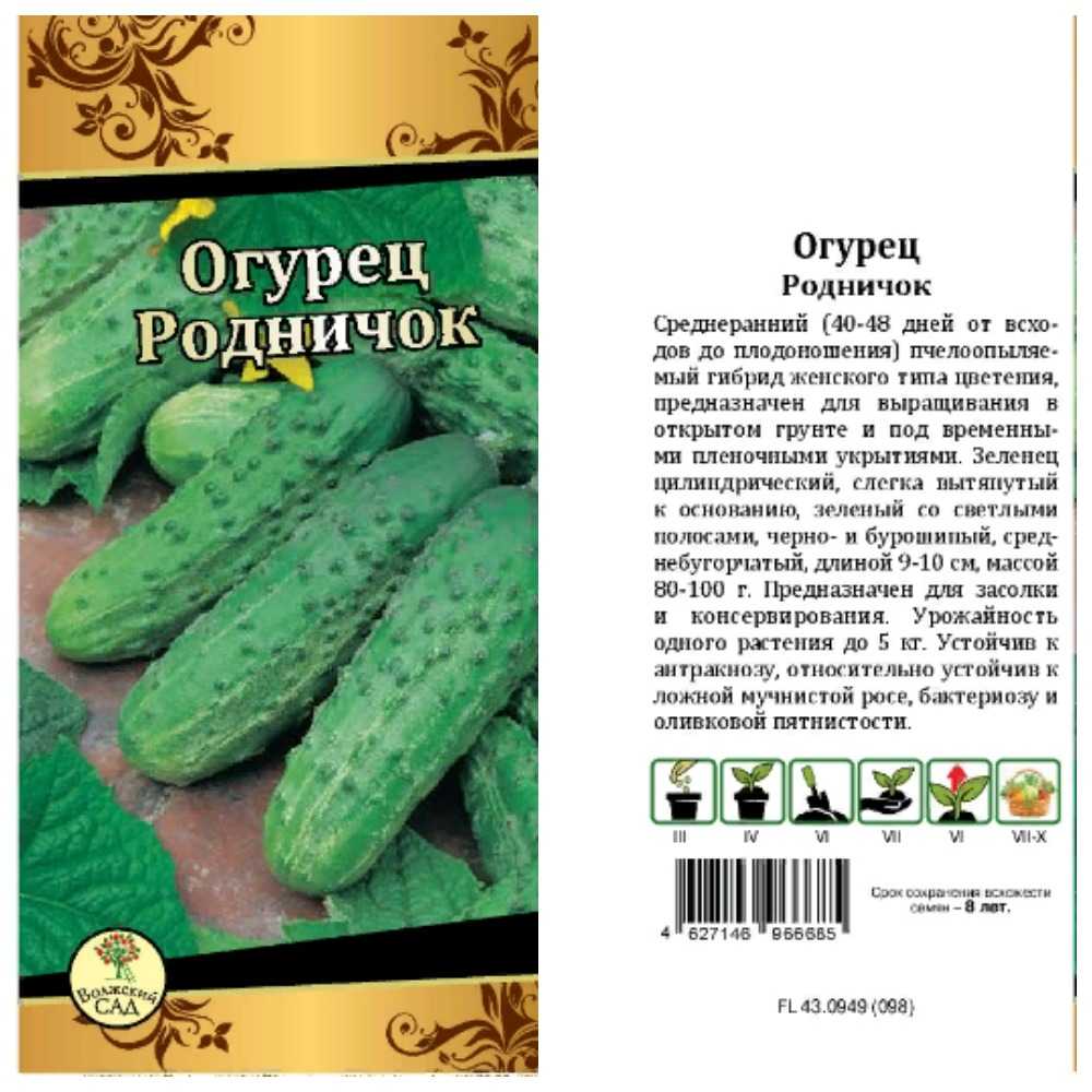 Огурец родничок - характеристика и описание сорта