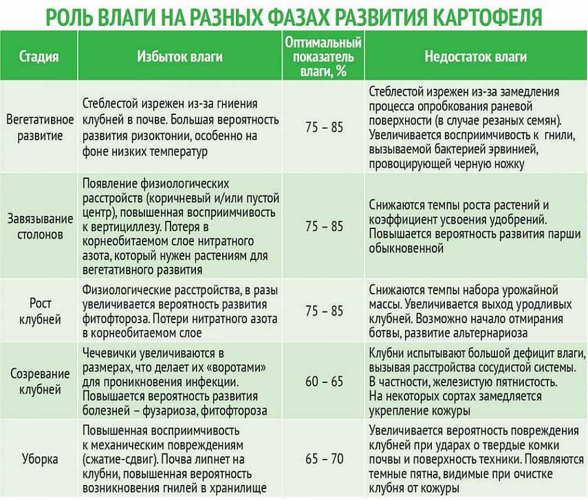 Посадка картофеля в гребни вручную и с помощью мотоблока: как осуществляется, какая подготовка требуется, а также плюсы и минусы метода, ошибки при его применении