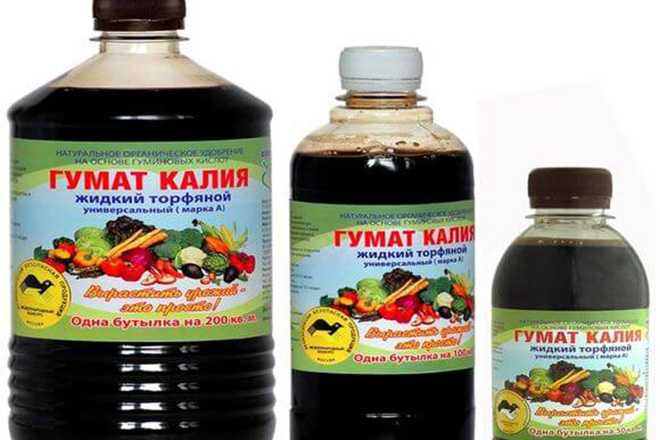 Гумат калия применение в саду и огороде