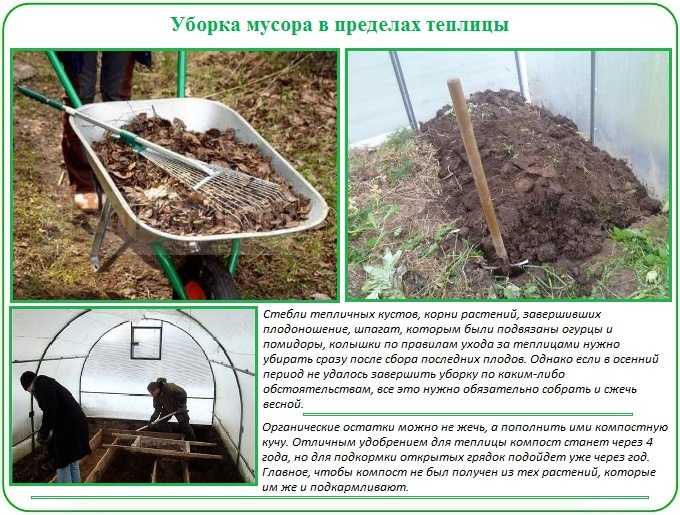 Медный купорос для почвы в теплице