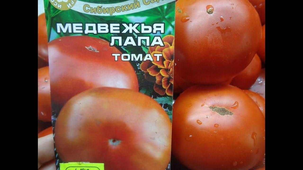 Томат медвежья лапа: описание сорта, отзывы (15), фото, урожайность