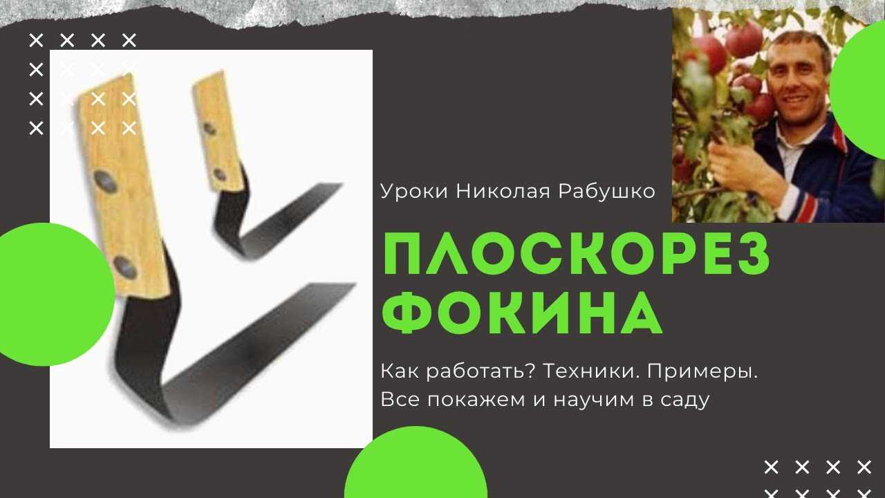 Плоскорез фокина: об изобретателе, его книге и подлинности