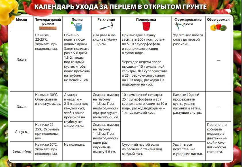 Схема посадки перца в открытый грунт рассадой весной