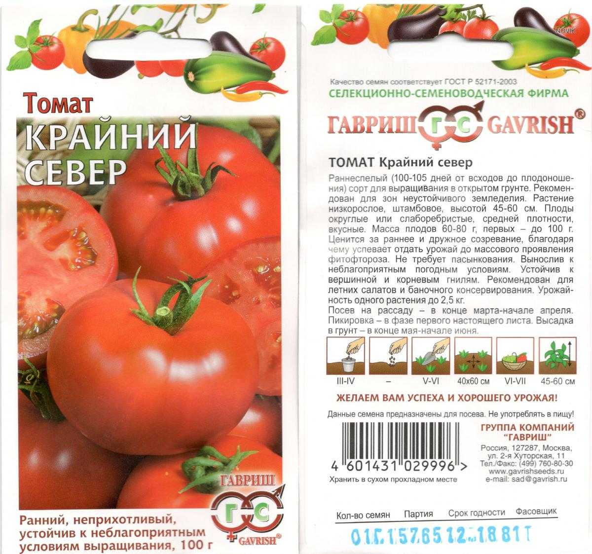 Хлыновский: подробное описание и техника выращивания мясистого томата