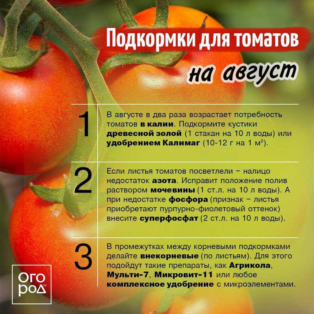 Что положить в лунку при высадке томатов в грунт - дачные советы.ру