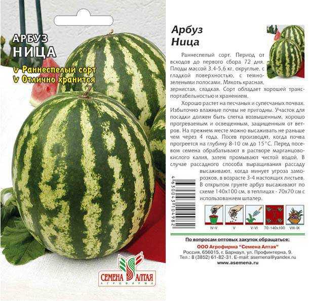 10 самых вкусных красных арбузов, а главное, устойчивых в холодном климате