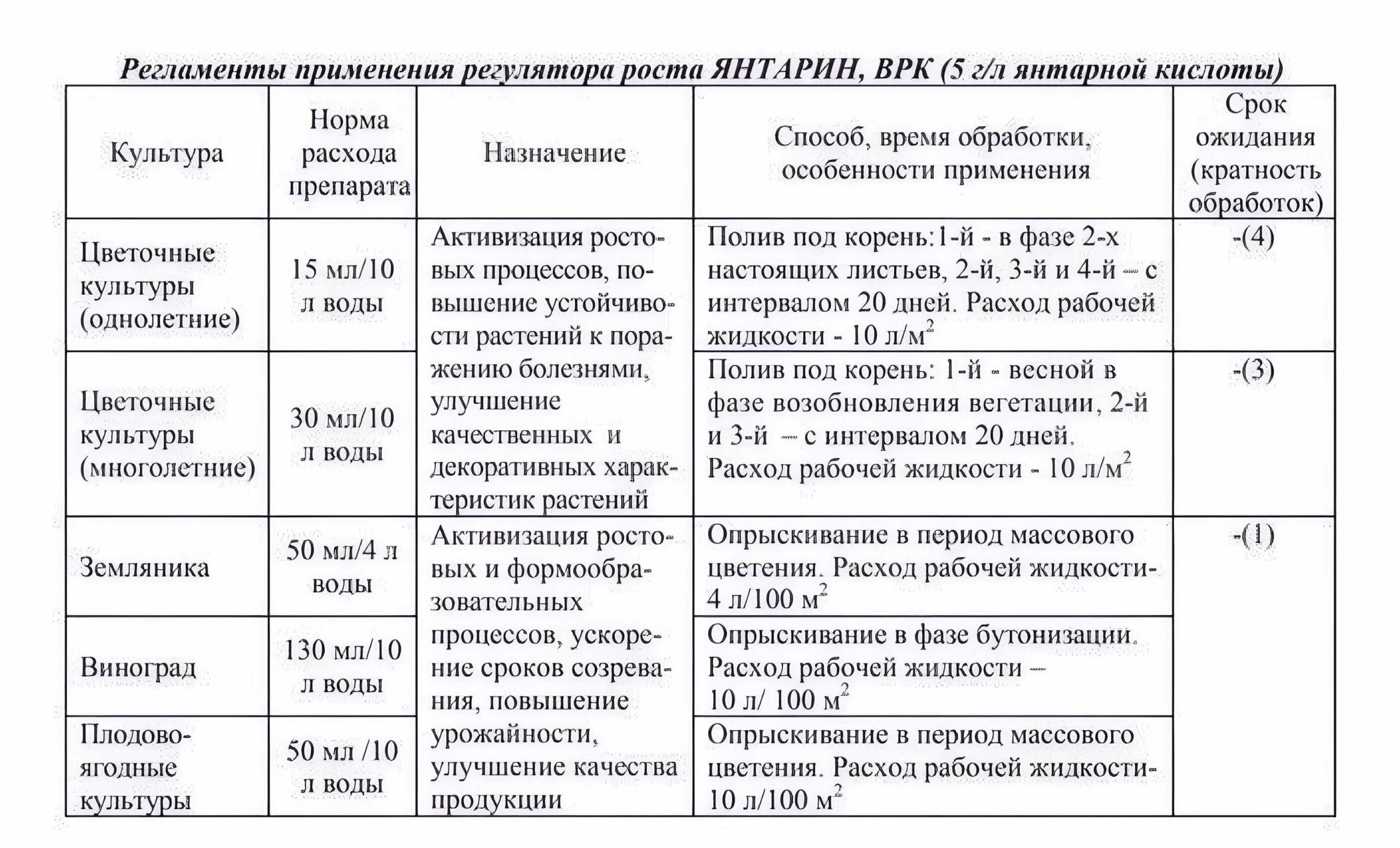 Янтарная кислота для орхидей: как правильно разводить таблетки и применять средство для подкормки, стимуляции и лечения растений, в каких случаях нужно поливать или опрыскивать цветок?