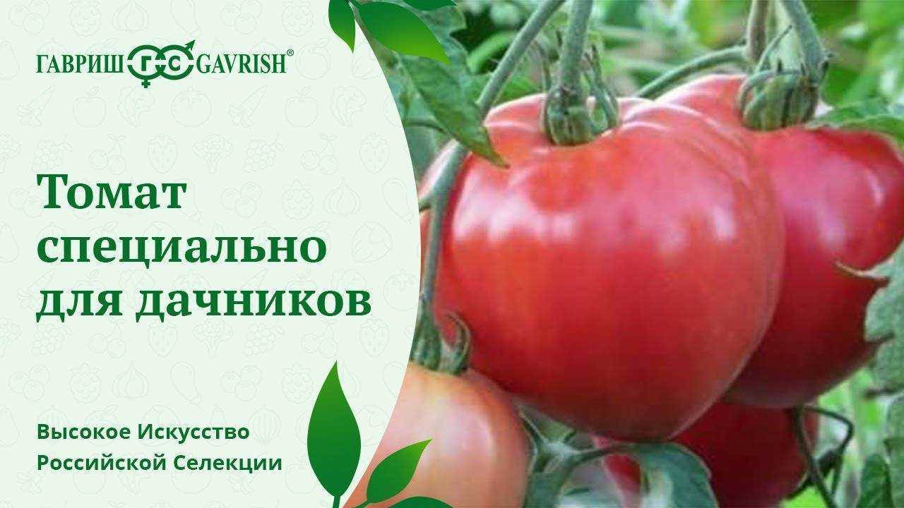Томат большая мамочка – отзывы, фото