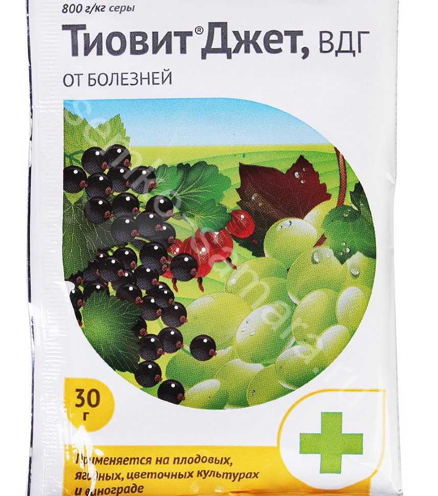 "тиовит джет" (фунгицид + акарицид) – один ответ от двух бед | защита от вредителей | дзен