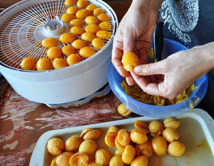 Курага в домашних условиях