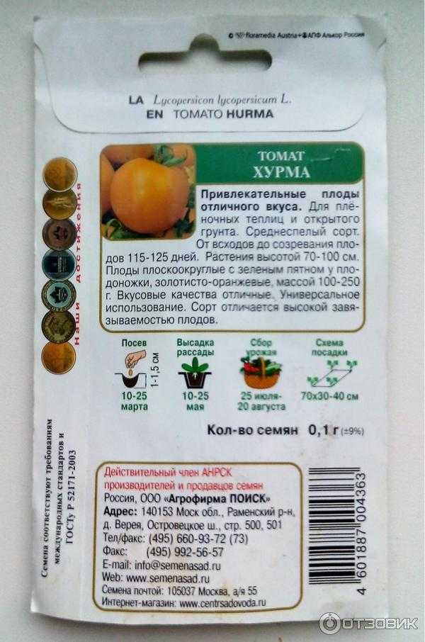 Томат хурма: описание сорта, отзывы тех кто выращивал его + фото куста