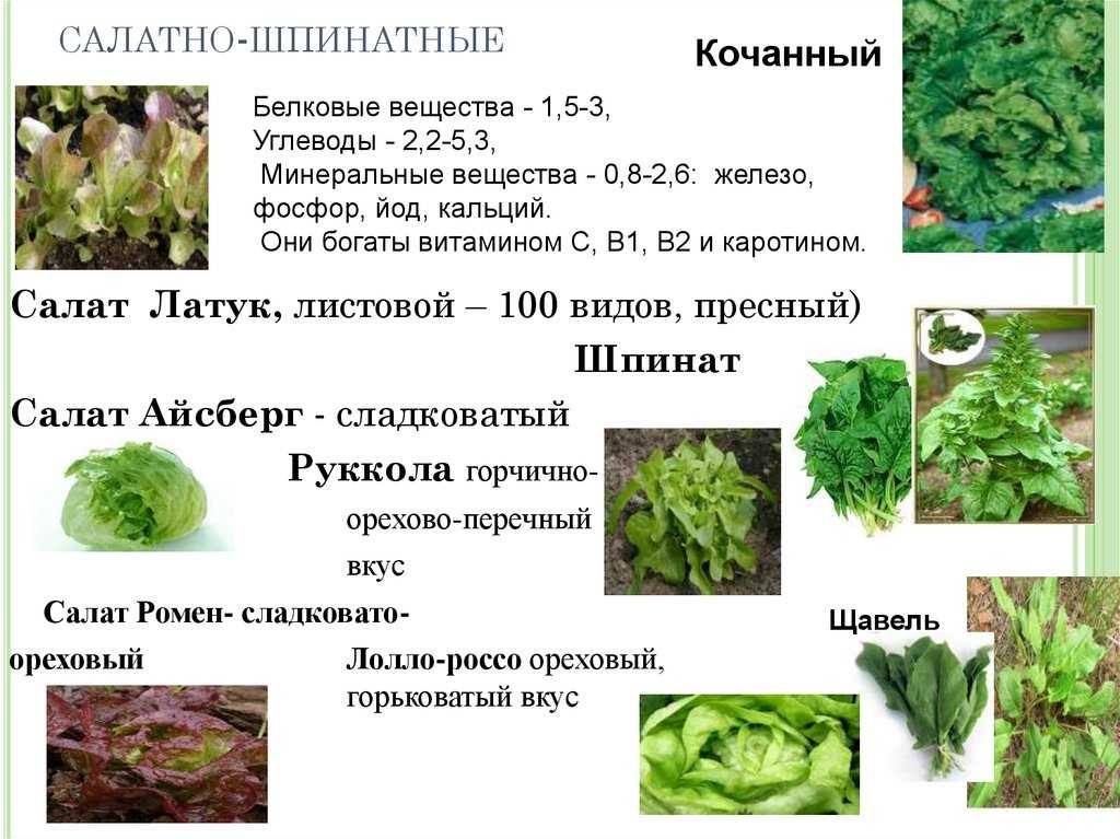 Таблицы бжу (белков, жиров, углеводов) и калорийности продуктов питания