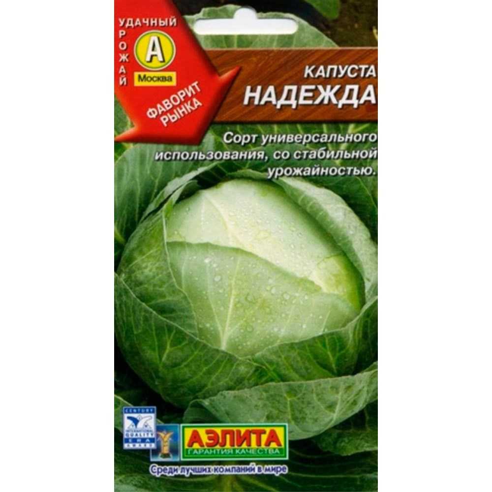 Капуста надежда: характеристика и описание среднеспелого сорта с фото