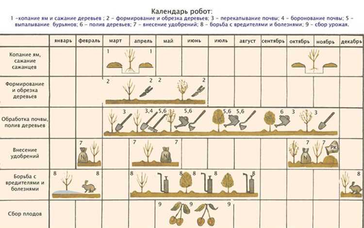 Обрезка гортензии осенью – как обеспечить пышное цветение на следующий год?