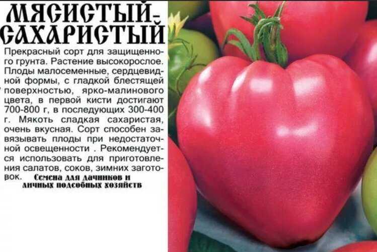 Томат исполин отзывы