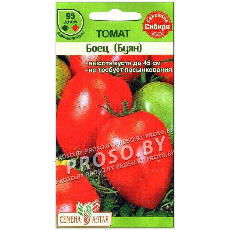 Томат боец 🍅 : характеристика, описание сорта, фото, посадка и уход 🌱 все о посадке и выращивании