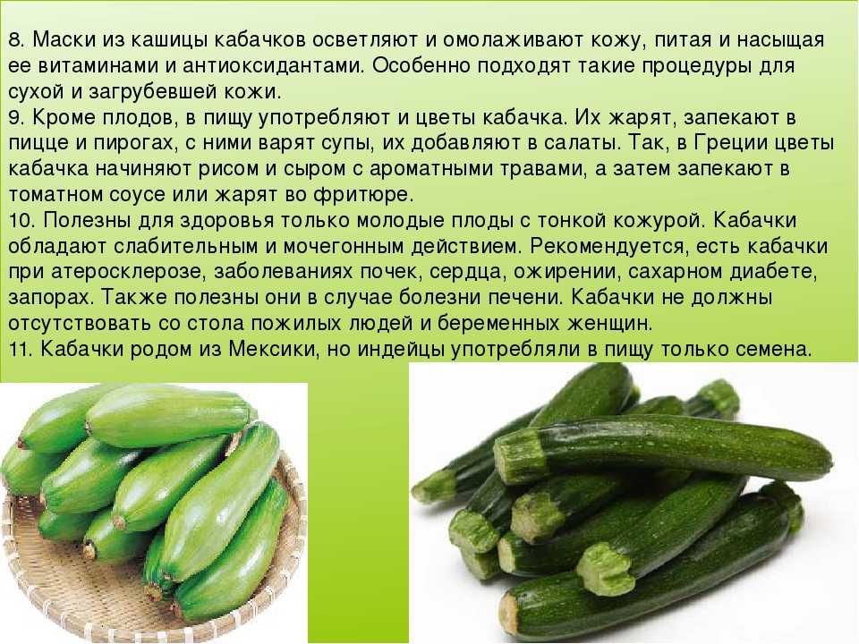 Что можно приготовить из перезрелых кабачков быстро и вкусно