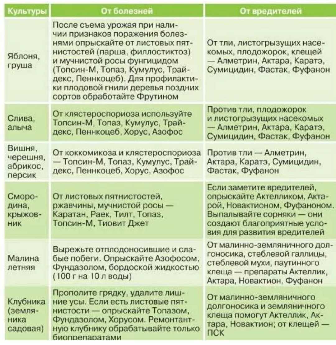 Плодожорка на яблоне: методы борьбы и профилактики