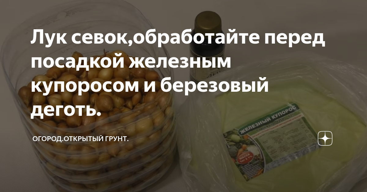 Обработка лука перед посадкой: основные способы подготовки севка, в том числе под зиму, чем обеззараживать от луковой мухи, можно ли марганцовкой и солью?