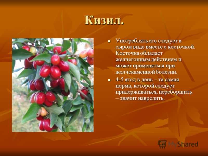 Гемоглобин при онкологии — как поднять низкий гемоглобин при раке, при каком уровне госпитализируют | клиники «евроонко»