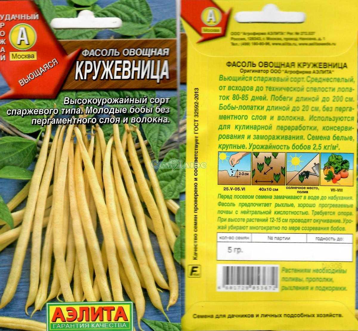 Фасоль: сорта и виды с фото и названиями