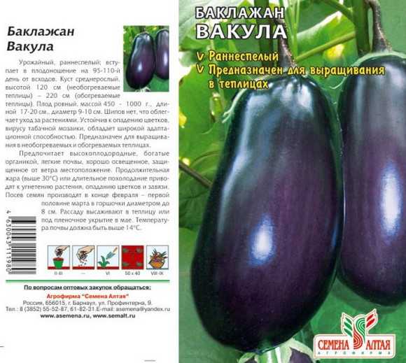 Баклажан универсал 6: характеристика и описание сорта, урожайность с фото