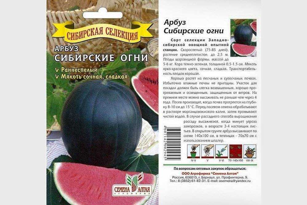 Зимостойкие сорта абрикосов: самые лучшие, вкусные, морозоустойчивые для сибири, урала, подмосковья, отзывы о выращивании