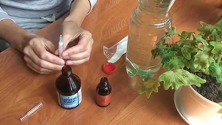 Чем удобрять герань чтобы цвела и не желтели листья