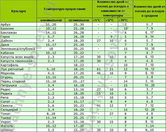 Как ускорить прорастание семян? / асиенда.ру