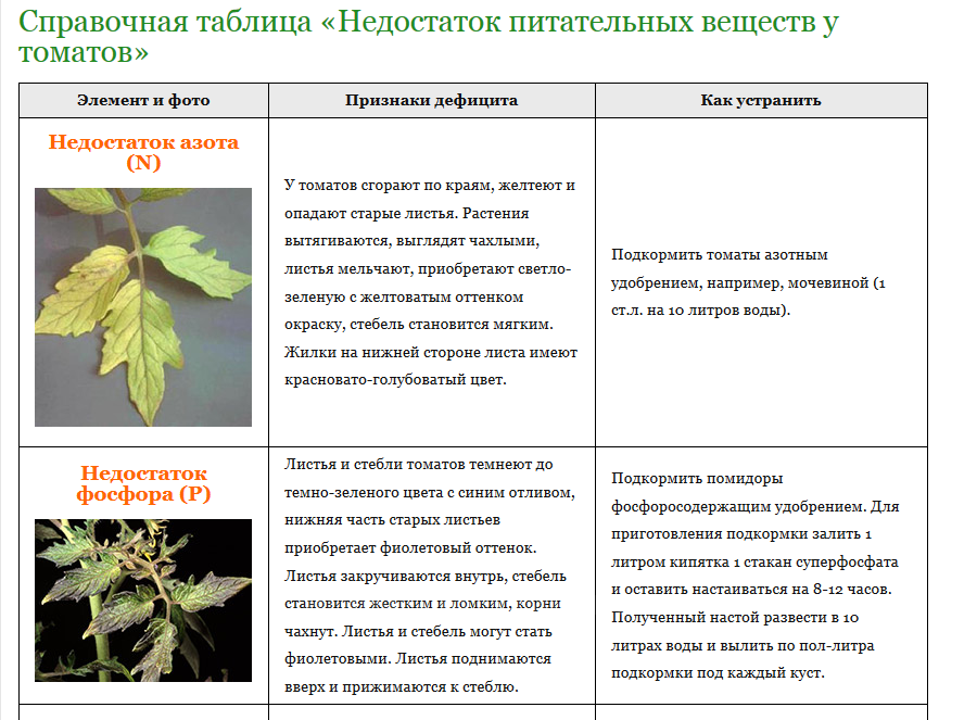 Почему желтеет и краснеет укроп, что делать, чем подкормить? | огородник