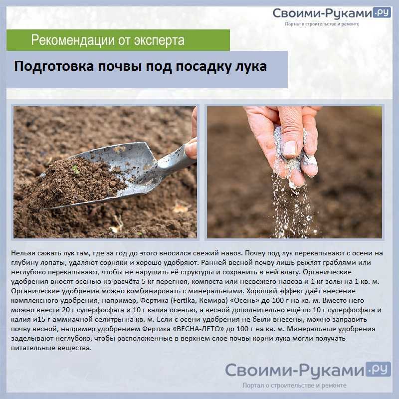 Чем удобрить землю осенью если нет навоза?