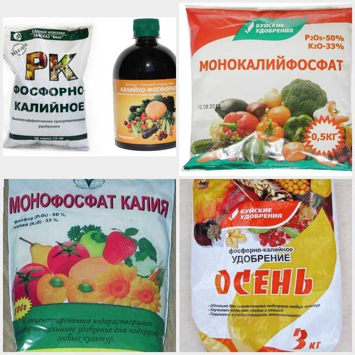 Как вносить фосфорно-калийные удобрения для томатов - удобряшкин.ру