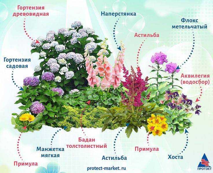 Какие деревья можно сажать возле дома по народным поверьям, а какие нельзя?